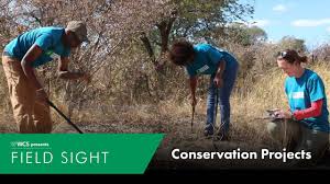 conservation projects