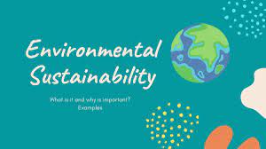 environmental sustainability
