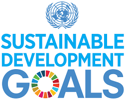 sustainable development goals 2030