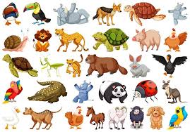 wild animals