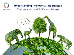 conservation of wildlife and biodiversity