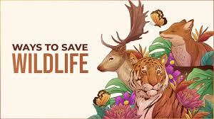 conserve wildlife habitats