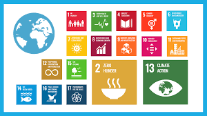 sdg climate change