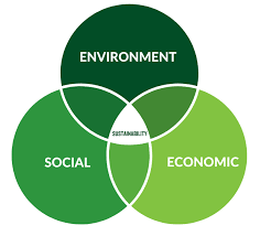 economic sustainability