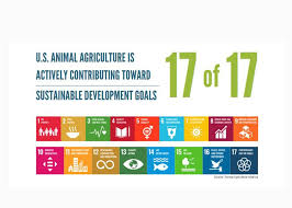 un 17 sustainable development goals