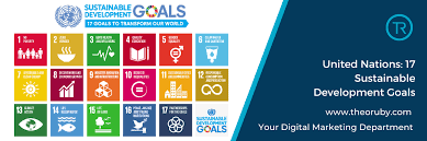 united nations goals