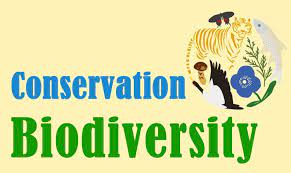 biodiversity conservation