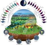 biodiversity ecology