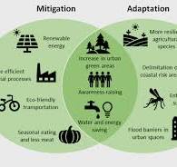 climate action examples