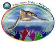 turtle rescue volunteer