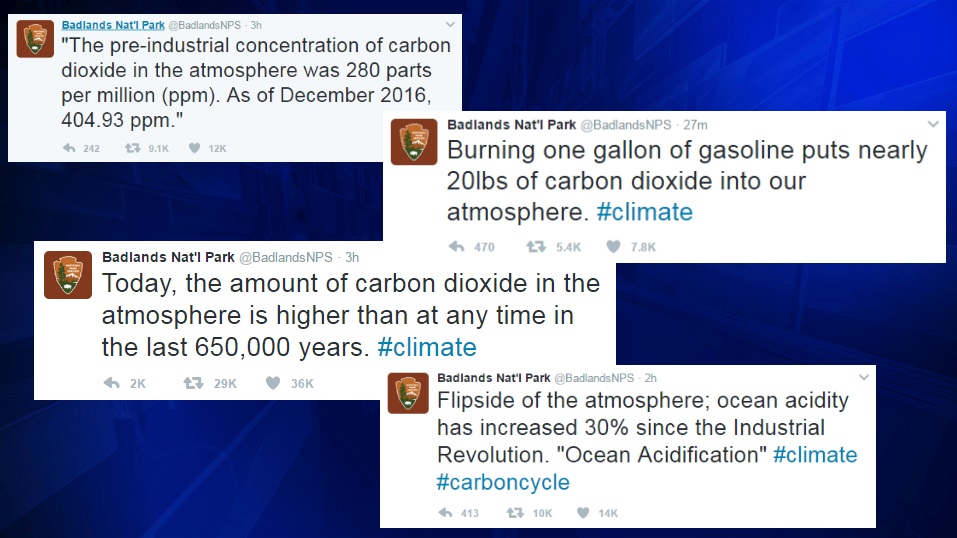 climate action twitter