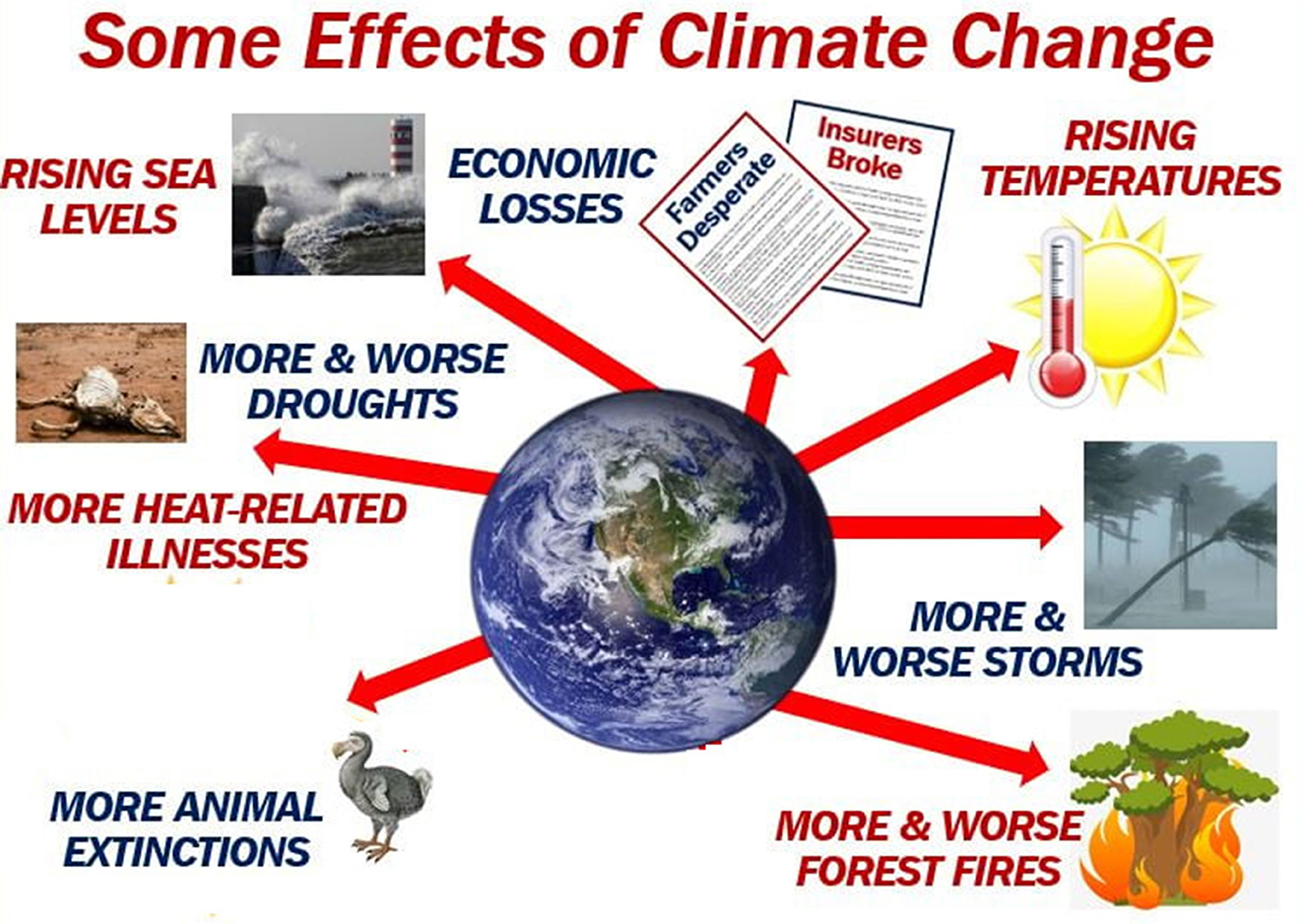 climate change network