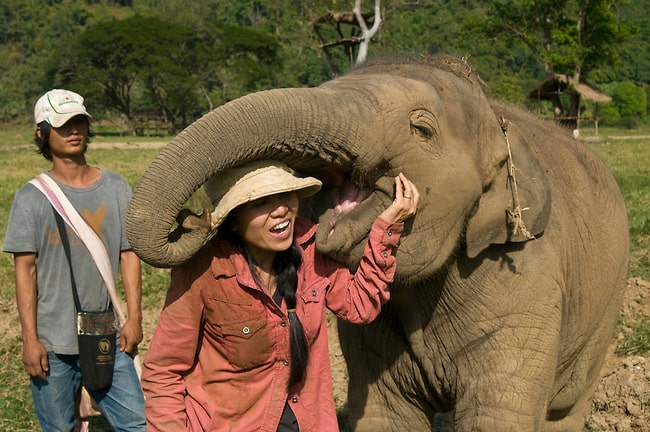 conservation of animals project