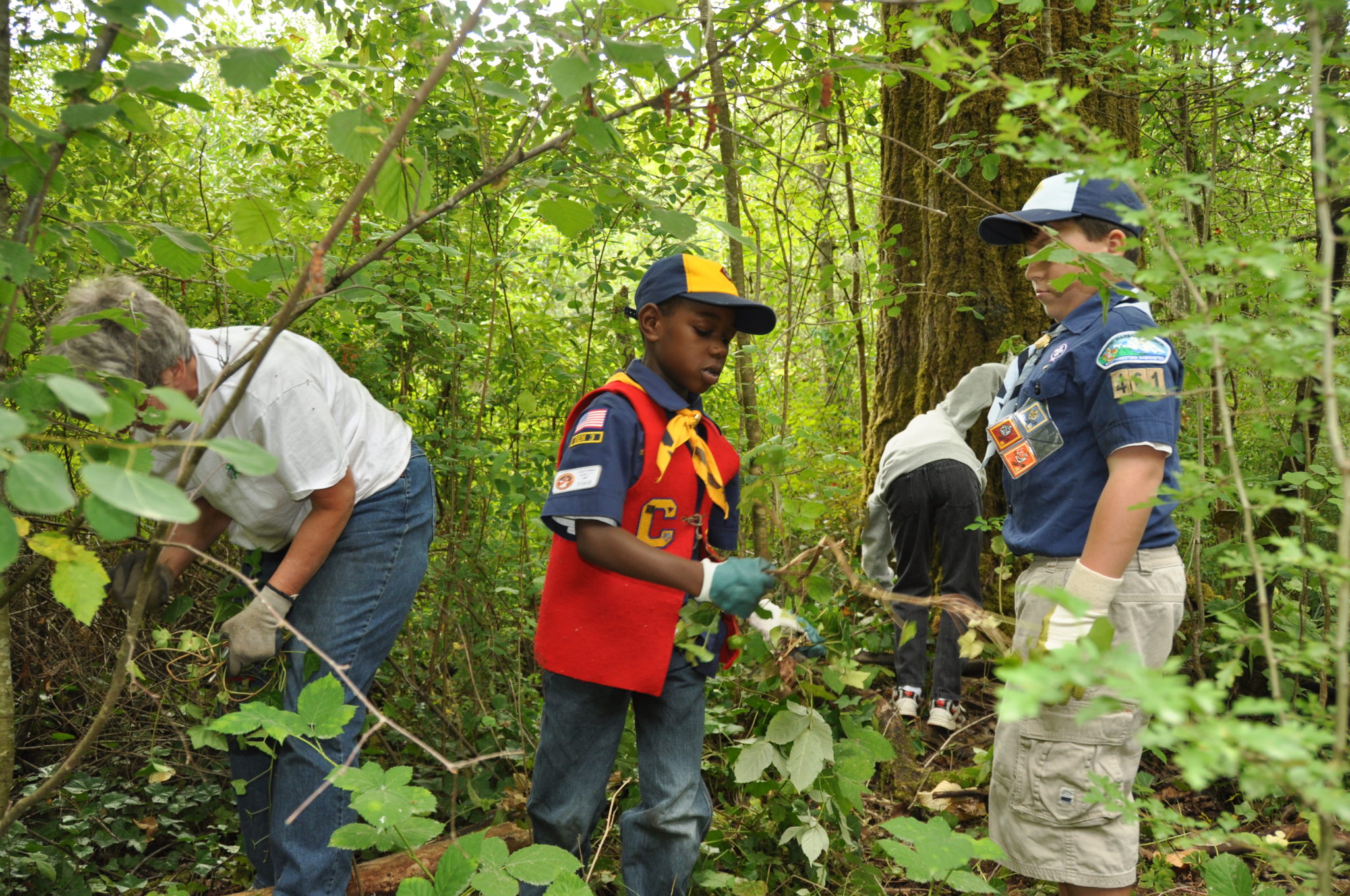 eco volunteering near me