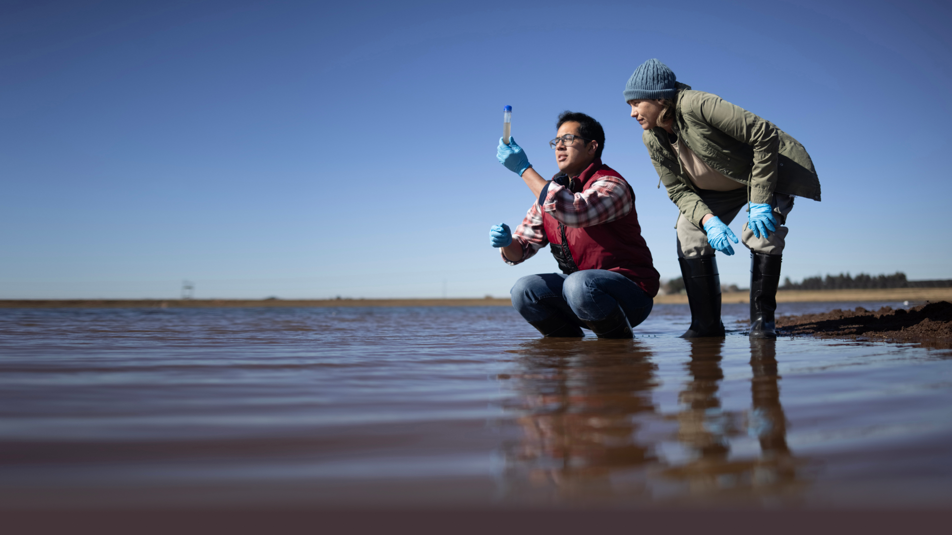 environmental volunteers near me