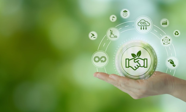 green economy and sustainable development