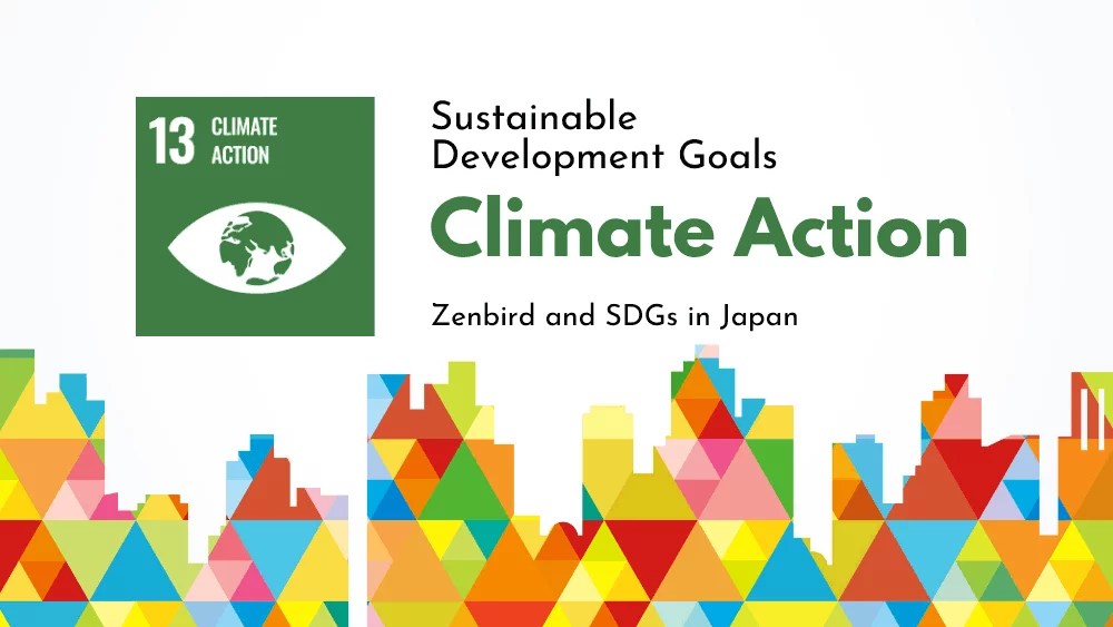climate action and sustainable development