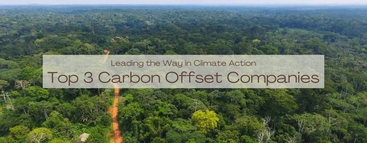 climate action companies