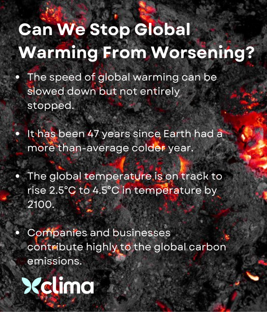actions to slow down global warming