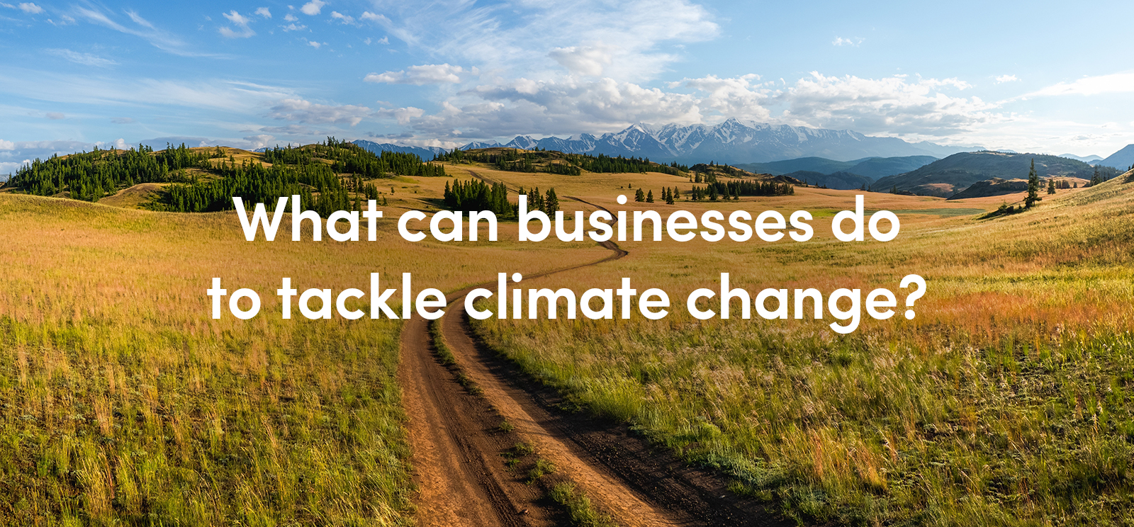 actions to tackle climate change