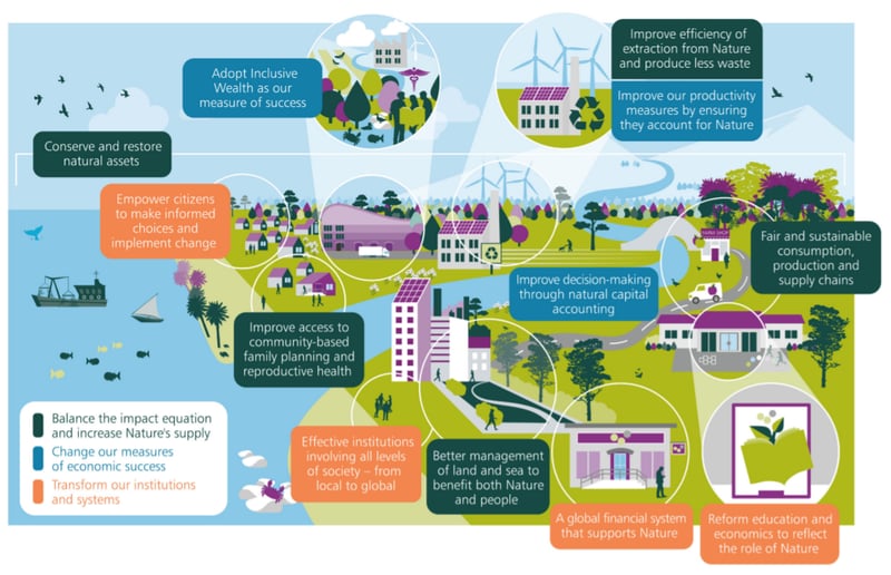 biodiversity and sustainable development