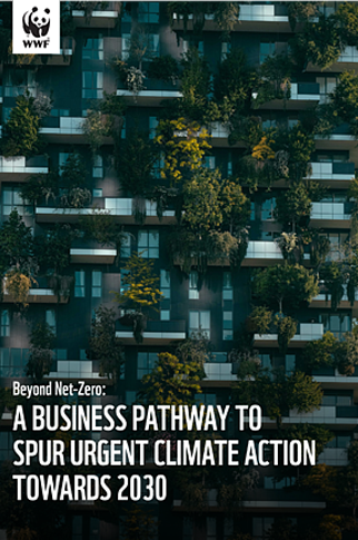 business for climate action