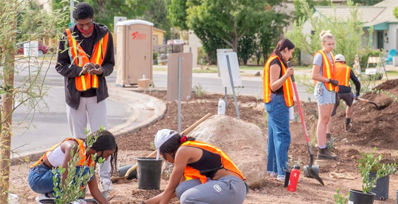 climate action in your area