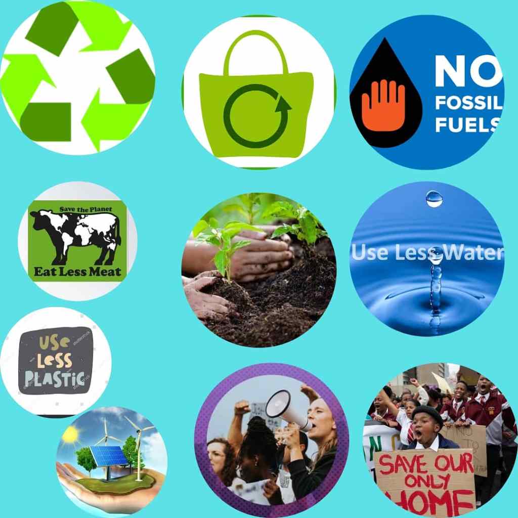 helping climate change at home