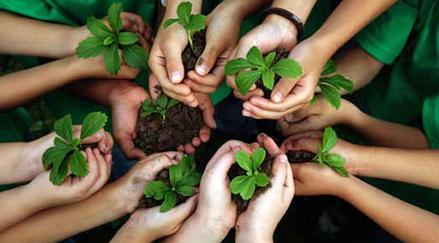 holistic environmental education