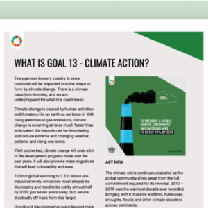 solutions to fight climate change