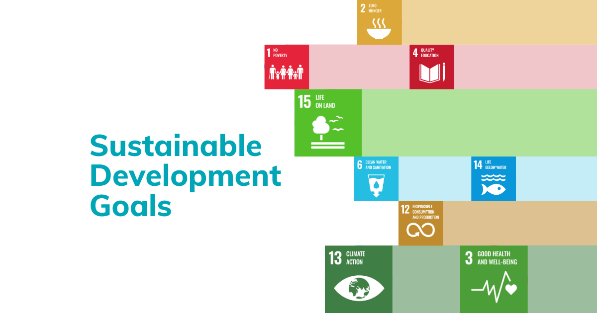 the global goals for sustainable development