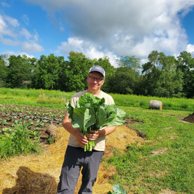 local environmental volunteering