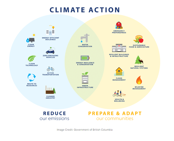 local government climate action