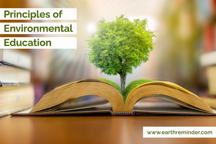 nature of environmental education