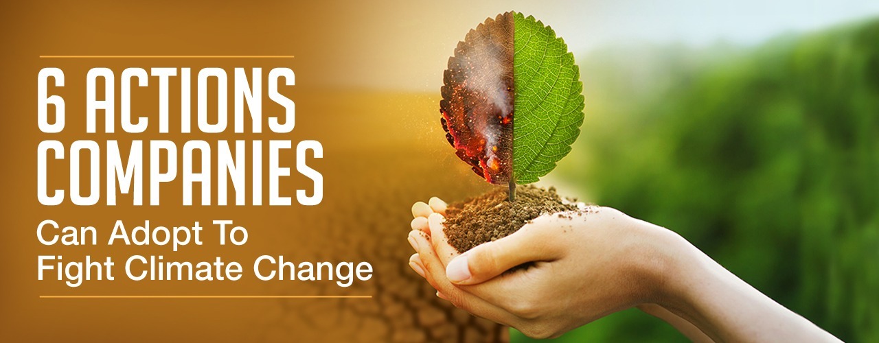 6 actions to fight climate change