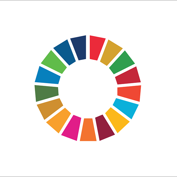 all sdg goals