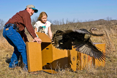 animal wildlife protection