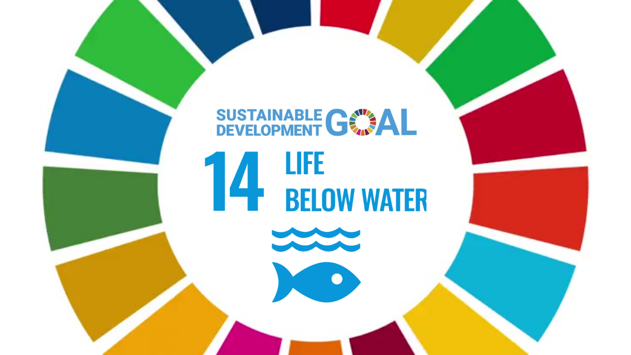 sdg goal 14