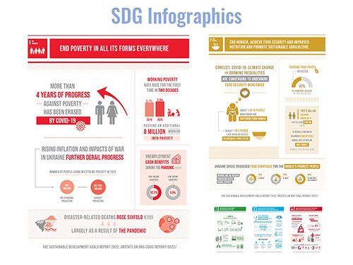 sustainable development goals 2022
