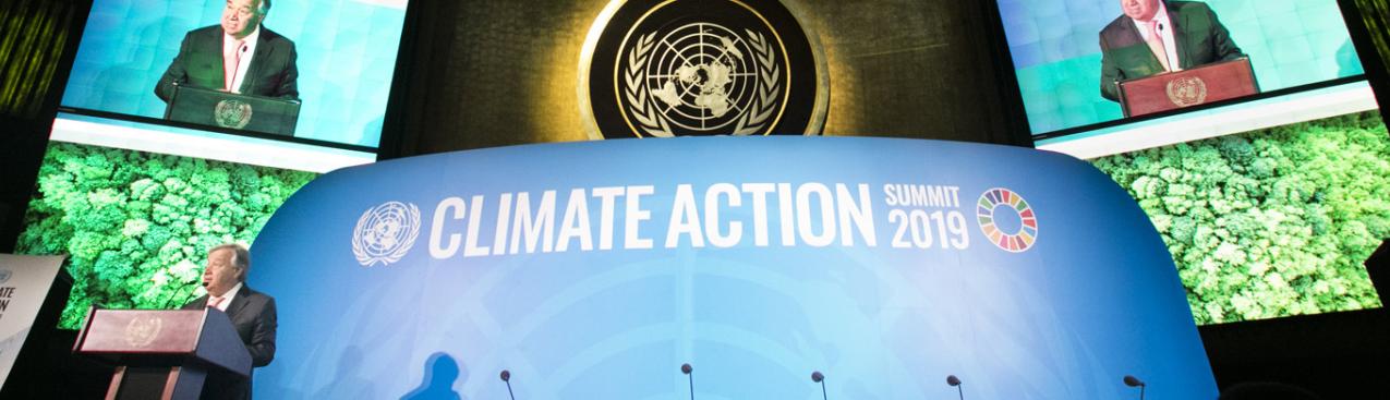 climate action 2019