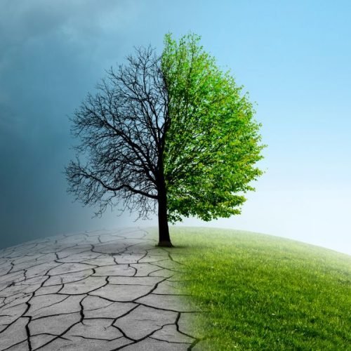 positive climate action