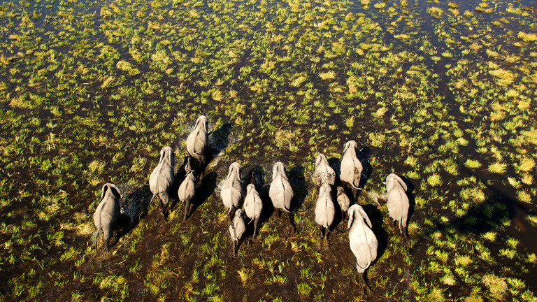 protection and preservation of nature and wildlife