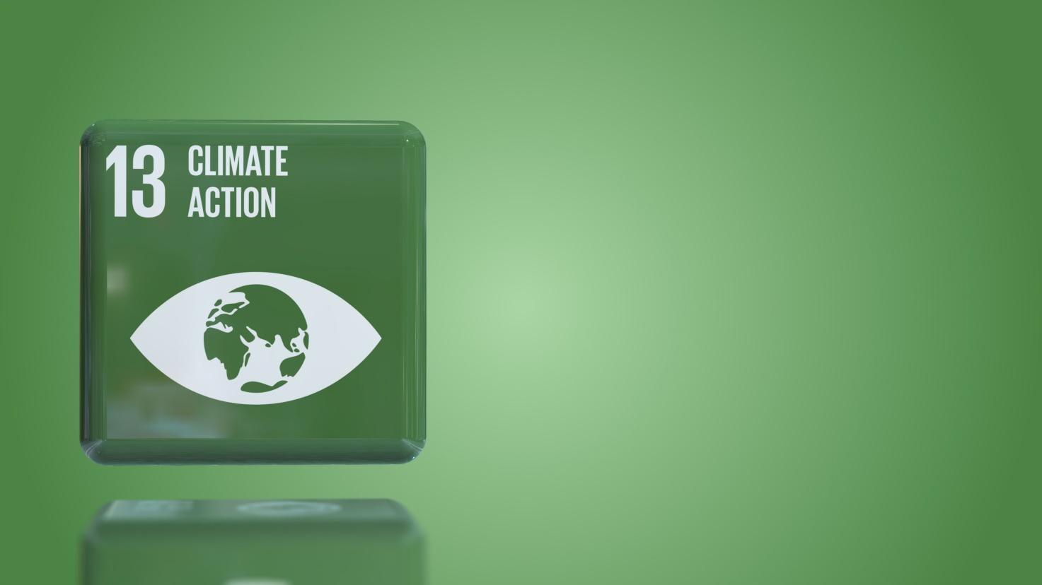 sustainable development goal 13 climate action