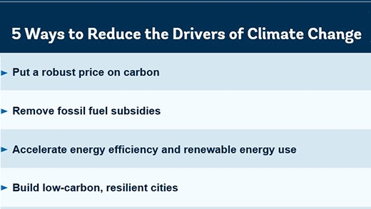 individual actions to reduce climate change