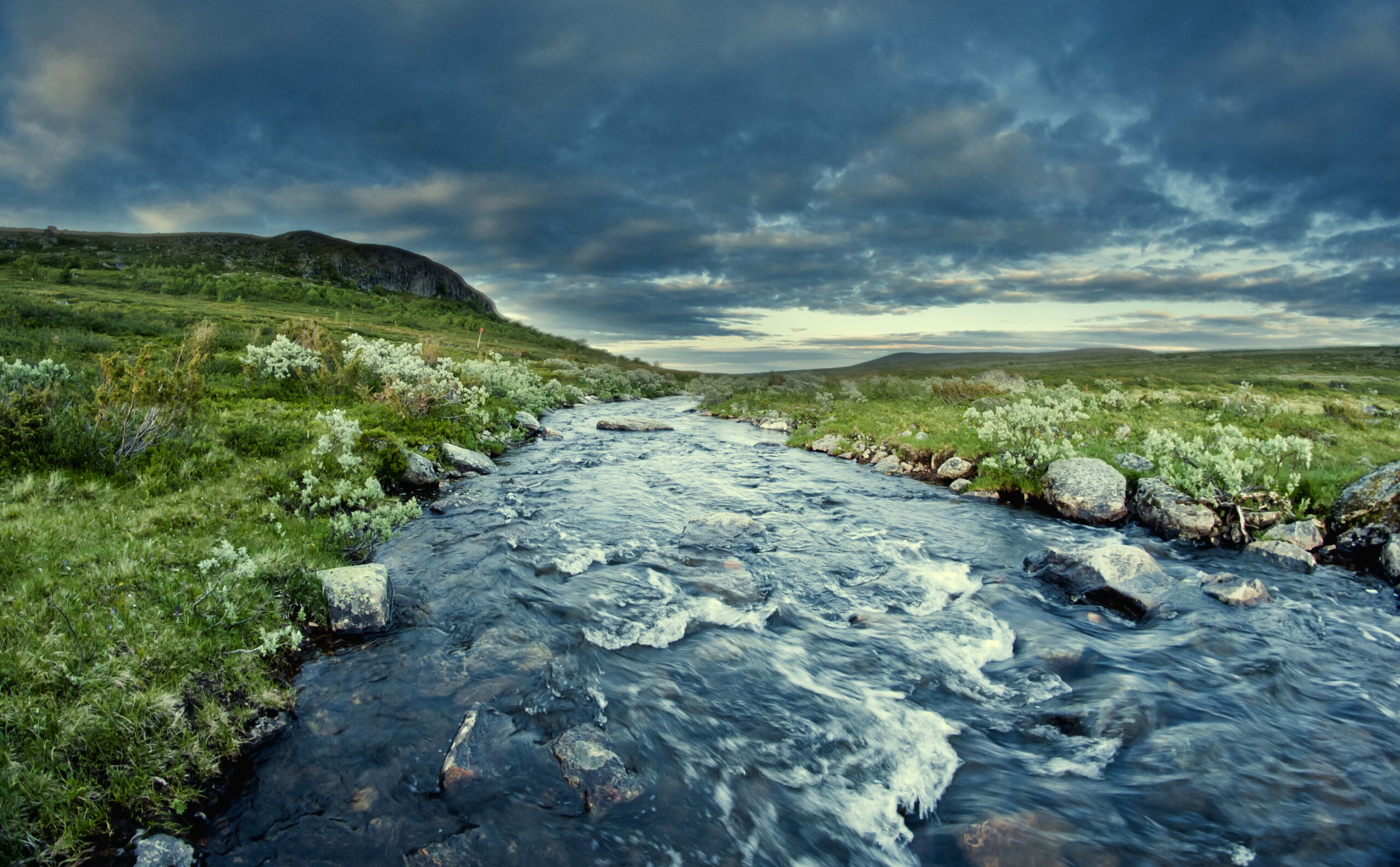 preservation and restoration of ecosystem