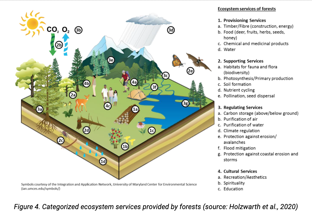 conservation of ecosystem