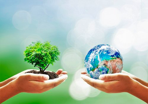 environment and sustainability