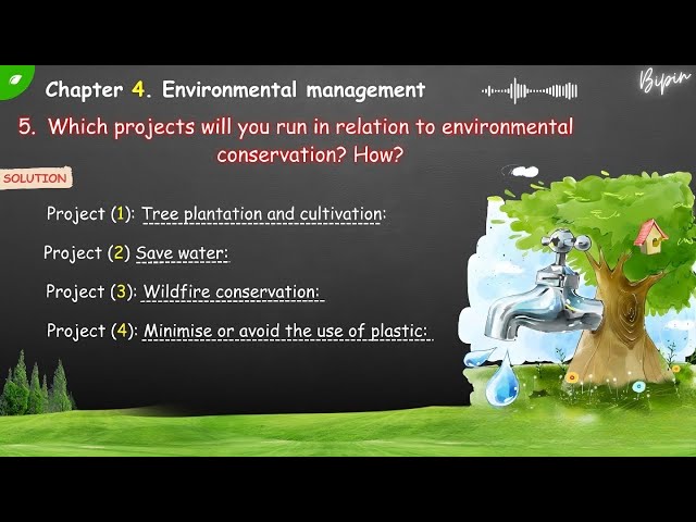 projects for environmental conservation