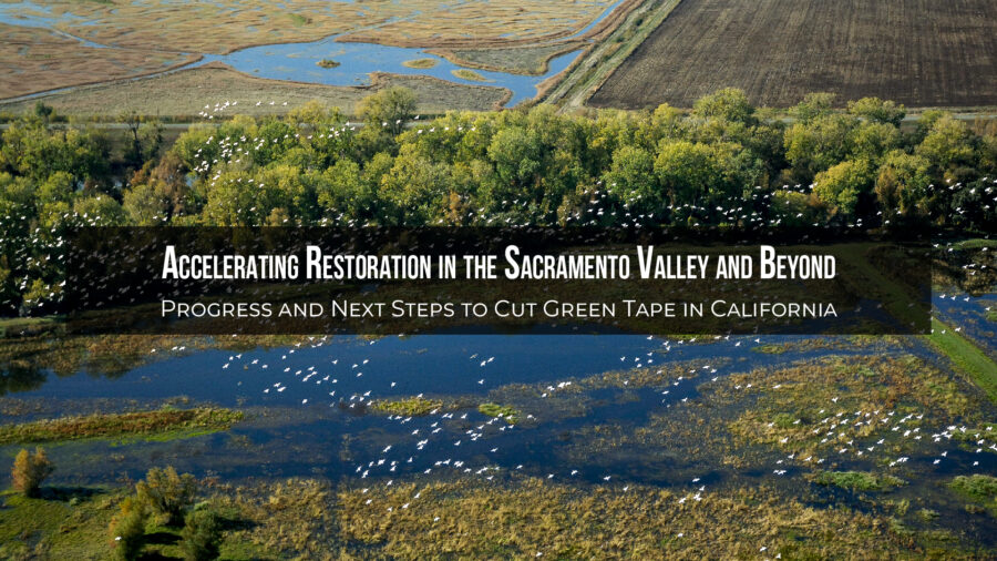 restoration conservation