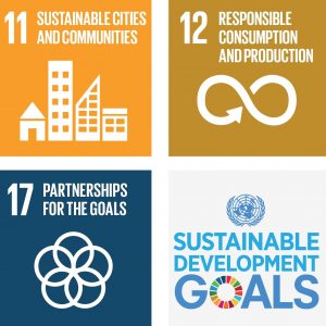 sdg impact